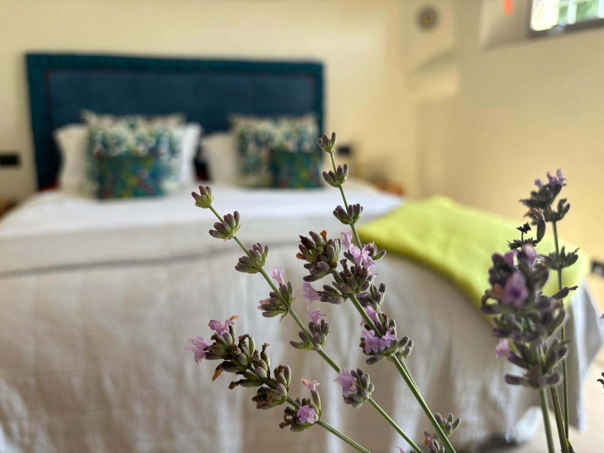 La Fuga Bed and Breakfast Bagni di Lucca Buitenkant foto
